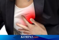 Penyakit Jantung pada Tahap Awal: Gejala Umum dan Pengobatan Efektif Kenali Gejala Awal Penyakit Jantung Yang Perlu Diwaspadai